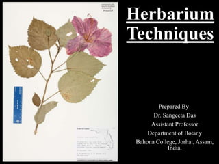 Herbarium
Techniques
Prepared By-
Dr. Sangeeta Das
Assistant Professor
Department of Botany
Bahona College, Jorhat, Assam,
India.
 