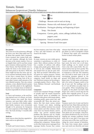 www.PermaTree.org, Herbarium Page 10
Tomato, Tomate
Solanaceae lycopersicum | Familiy: Solanaceae
(Many Solanaceae members contain potent alkaloids, and some are highly toxic, but many cultures eat nightshades, in some cases as staple foods).
img: yago1.com
	 Water:		 Lot
	 Sun:		 Hot
	 Challenge: 	 Blossom-end rot and cat-facing
	 Substratum:	 Humus-rich, well-drained, pH 6.0 - 6.8
	 Fertilisation:	 During pre-planting and beginning of ripen
	 Temp.:	 Hot climate
	 Companion: 	 Carrots, garlic, onion, cabbage, kohlrabi, leeks,
		 peppers, mint
	 Non-Companion:	 Fennel, cucumbers, potatoes
	 Spacing: 	 Between 9 und 14cm apart
Description:
The Leaves are in fact poisonous, although
the fruit is not. But is that really true? It‘s
all about that quantity that‘s consumed.
Green tomatoes also contain both sola-
nine and tomatine, although the levels
decrease as the tomato matures. Even so,
we happily batter and fry up these unripe
green tomatoes without question. Former
Chez Panisse chef Paul Bertolli even in-
cludes the leaves in his tomato sauce to
add some punch to the flavor. While the
leaves might not have the sweet, ripe tas-
te of a summer beefsteak tomato, they do,
in fact, have a tomato flavor. So, leaves,
stems, and green unripe fruit of the to-
mato plant contain small amounts of the
toxic alkaloid tomatine. They also contain
solanine, a toxic alkaloid found in potato
leaves and other plants in the nightshade
family. Use of tomato leaves in herbal tea
has been responsible for at least one death.
Fruit:
Is a berry and tomatoes, as the seed-bea-
ring ripened ovary of a flower, are fruits.
Native versions were small, like cherry
tomatoes, and most likely yellow rather
than red. A member of the deadly nights-
hade family, tomatoes were erroneously
thought to be poisonous by Europeans
who were suspicious of their bright, shiny
fruit. The fruits develop 3-4 months after
sowing.
Medicine:
Some sources claim that they regarded to-
mato seeds as an aphrodisiac.
Native:
To South and Central America. Probably
the first tomatoes came from what today
is Peru, and wild tomatoes can still be
found in the Andes.
Cultivars:
Its many varieties are now widely grown,
sometimes in greenhouses in cooler cli-
mates. Most cultivars produce red fruit,
but a number of cultivars with yellow,
orange, pink, purple, green, black, or whi-
te fruit are also available. Multicolored
and striped fruit can also be quite strik-
ing. There are around 7,500 tomato varie-
ties grown for various purposes. Tomato
varieties are roughly divided into several
categories, based mostly on shape and
size: Heirloom tomatoes are becoming in-
creasingly popular. Cherry-, Plum-, Heir-
loom, Medium (Normal)- and Beefsteak
Tomatoes.
Companion:
Carrots love tomatoes! Borage is thought
to actually repel the tomato hornworm
moth. Several species of umbellifer are
therefore often grown with tomato plants,
including parsley, queen anne‘s lace, and
occasionally dill. These also attract pre-
datory flies that attack various tomato
pests. Ground cover plants, including
mints, also stabilize moisture loss around
tomato plants and other solaneae, which
come from very humid climates, and th-
erefore may prevent moisture-related
problems like blossom end rot. Finally,
tap-root plants like dandelions break up
dense soil and bring nutrients from down
below a tomato plant‘s reach, possibly be-
nefiting their companion. Tomato plants,
on the other hand, protect asparagus from
asparagus beetles, because they contain
solanum that kills this pest, while aspara-
gus plants (as well as marigolds) contain
a chemical that repels root nematodes
known to attack tomato plants.
Sowing:
Tomato seeds and seedlings need to be
kept moist, but never wet, at all times.
Small seedlings can be misted several
times a day with a spray bottle. The con-
tainers tend to heat up more quickly. This
increased soil temperatures causes water
to evaporate at a fast rate. The containers
also can‘t hold as much water as the soil
surrounding tomatoes planted in the
ground. You‘ll likely need to water these
plants more. To help retain soil moisture,
add a few inches of organic mulch to the
top of your soil. The seedlings need to
be 2-3 cm tall before you plant them in
your garden. When transplanting toma-
to plants, set the plant’s root ball a little
deeper into a hole or trench dug into the
garden than originally grown in its pot.
Spacing in general between 9 und 14cm
apart.
Water:
Tomatoes need a lot of water and feed to
get the best fruit. Water little and often for
the best results. The number 1 rule of wa-
tering tomatoes is to make sure that you
go slow and easy. Never rush watering to-
mato plants use, for example, a drip hose.
your plants should never dry out or live in
sopping wet, swampy conditions. Evenly
moist soil is your goal. If you keep your
soil moist most of the time, you‘ll be pro-
viding the correct amount of hydration.
The fruits from tomato plants watered
once each week were flavorful, and many
Source: web; en.wikipedia.org/wiki/Tomato, www.planetnatural.com, www.thekitchn.com, homeguides.sfgate.com,
www.gardeningknowhow.com, www.thompson-morgan.com,
 