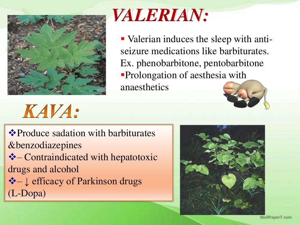 Herb drug interaction ppt by rupesh kumar