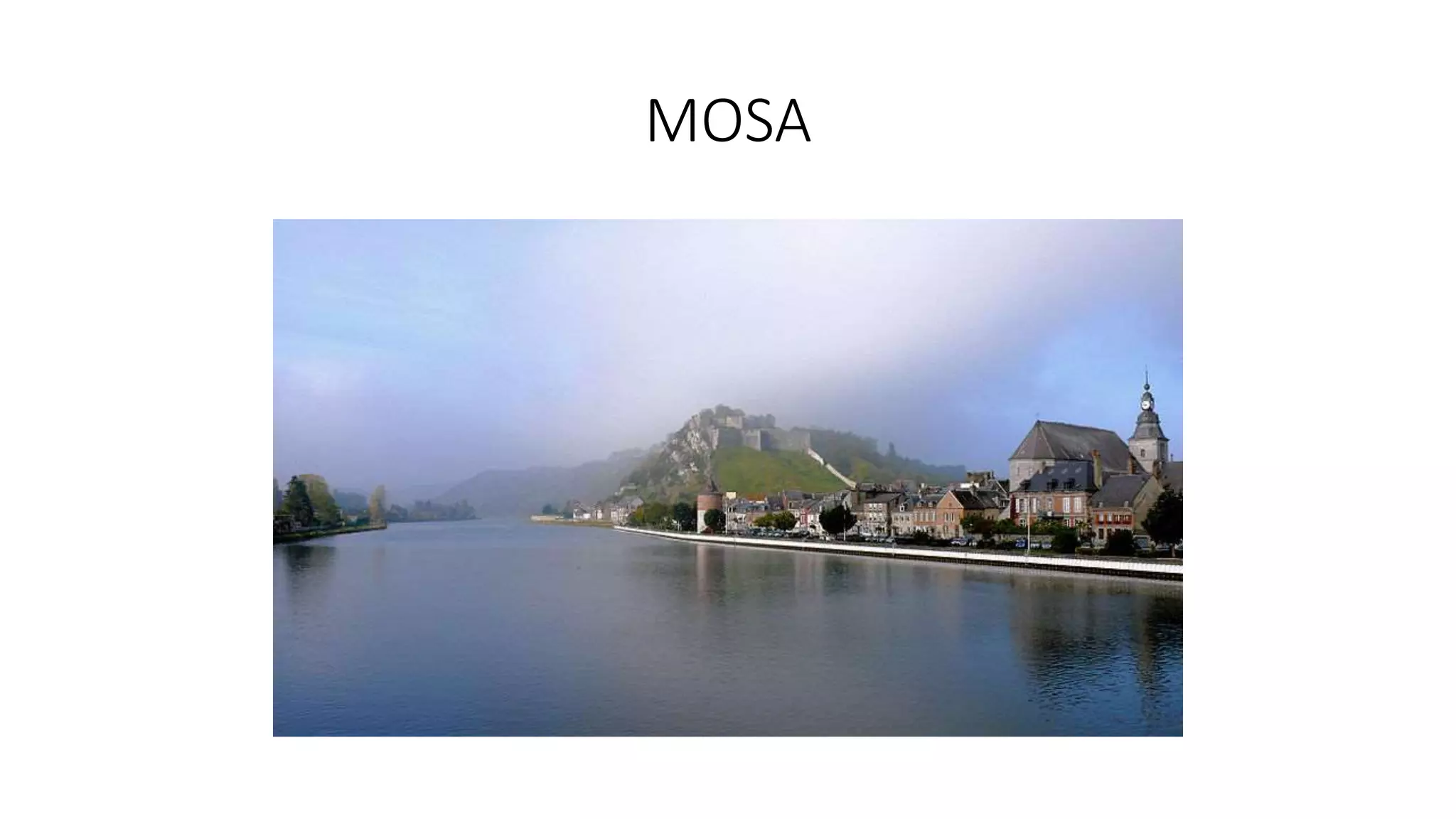 MOSA
 