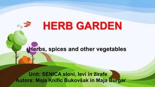 HERB GARDEN
Herbs, spices and other vegetables

Unit: SENICA sloni, levi in žirafe
Autors: Maja Knific Bukovšak in Maja Burgar

 
