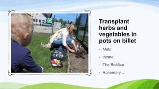 Herb garden | PPTX