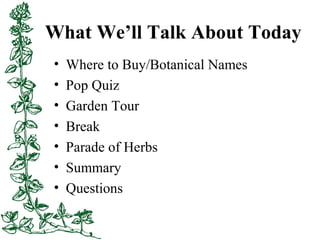What We’ll Talk About Today
• Where to Buy/Botanical Names
• Pop Quiz
• Garden Tour
• Break
• Parade of Herbs
• Summary
• ...