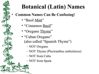 Botanical (Latin) Names
• Common Names Can Be Confusing!
• “Basil Mint”
• “Cinnamon Basil”
• “Oregano Thyme”
• “Cuban Oreg...