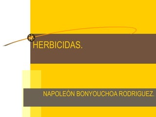 HERBICIDAS. NAPOLEÒN BONYOUCHOA RODRIGUEZ. 