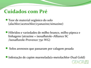 Teor de material orgânico do solo
(alachlor/acetochlor/cyanazine/simazine)
Híbridos e variedades de milho branco, milho pipoca e
linhagens (atrazine + isoxaflutole–Alliance SC
/isoxaflutole-Provence 750 WG)
 Solos arenosos que passaram por calagem pesada
Infestação de capim marmelada(s-metolachlor-Dual Gold)
Cuidados com Pré
 
