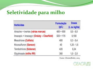 Seletividade para milho
Fonte: Christoffoleti, 2015
 