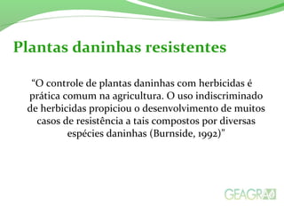 “O controle de plantas daninhas com herbicidas é
prática comum na agricultura. O uso indiscriminado
de herbicidas propiciou o desenvolvimento de muitos
casos de resistência a tais compostos por diversas
espécies daninhas (Burnside, 1992)”
Plantas daninhas resistentes
 