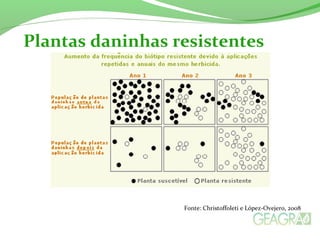 Fonte: Christoffoleti e López-Ovejero, 2008
Plantas daninhas resistentes
 