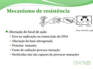Alteração do local de ação
 Erro na replicação ou transcrição do DNA
 Alteração da base nitrogenada
 Proteína mutante
 Fonte de radiação provoca mutação
 Herbicidas não são capazes de provocar mutações
Mecanismo de resistência
Fonte: Gunsolus, 1998
 