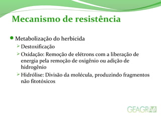 Metabolização do herbicida
 Destoxificação
 Oxidação: Remoção de elétrons com a liberação de
energia pela remoção de oxigênio ou adição de
hidrogênio
 Hidrólise: Divisão da molécula, produzindo fragmentos
não fitotóxicos
Mecanismo de resistência
 
