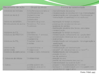 Mecanismo de resistência
Fonte: Vidal, 1997
 