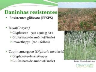 • Resistentes glifosato (EPSPS)
• Buva(Conyza)
 Glyphosate – 540 a 900 g ha-1
 Glufosinato de amônio(Finale)
 Imazethapyr (até 4 folhas)
• Capim amargoso (Digitaria insularis)
 Glyphosate+Imazethapyr
 Glufosinato de amônio(Finale)
Daninhas resistentes
Fonte: Christoffoleti, 2015
 