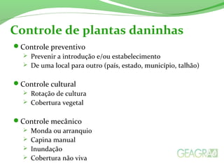 Controle de plantas daninhas
Controle preventivo
 Prevenir a introdução e/ou estabelecimento
 De uma local para outro (país, estado, município, talhão)
Controle cultural
 Rotação de cultura
 Cobertura vegetal
Controle mecânico
 Monda ou arranquio
 Capina manual
 Inundação
 Cobertura não viva
 