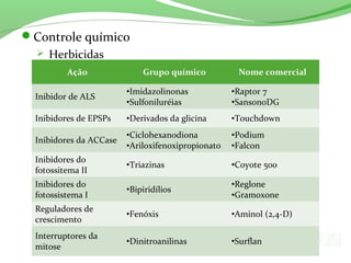 Controle químico
 Herbicidas
Ação Grupo químico Nome comercial
Inibidor de ALS
•Imidazolinonas
•Sulfoniluréias
•Raptor 7
•Sanson0DG
Inibidores de EPSPs •Derivados da glicina •Touchdown
Inibidores da ACCase
•Ciclohexanodiona
•Ariloxifenoxipropionato
•Podium
•Falcon
Inibidores do
fotossitema II
•Triazinas •Coyote 500
Inibidores do
fotossistema I
•Bipiridílios
•Reglone
•Gramoxone
Reguladores de
crescimento
•Fenóxis •Aminol (2,4-D)
Interruptores da
mitose
•Dinitroanilinas •Surflan
 