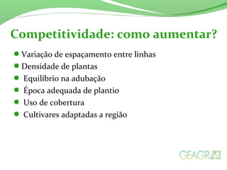 Variação de espaçamento entre linhas
Densidade de plantas
 Equilíbrio na adubação
 Época adequada de plantio
 Uso de cobertura
 Cultivares adaptadas a região
Competitividade: como aumentar?
 
