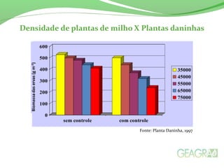 Fonte: Planta Daninha, 1997
 