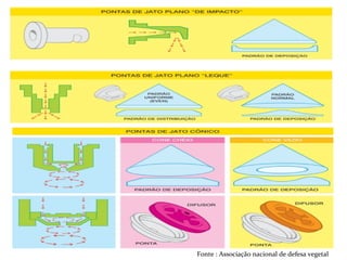 Fonte : Associação nacional de defesa vegetal
 