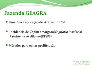 Uma única aplicação de atrazine 2L/há
 Incidência de Capim amargoso(Digitaria insularis)
resistente ao glifosato(EPSPS)
Métodos para evitar proliferação
Fazenda GEAGRA
 