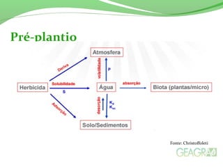 Fonte: Christoffoleti
Pré-plantio
 