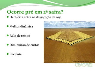 Herbicida entra na dessecação da soja
Melhor dinâmica
Falta de tempo
Diminuição de custos
Eficiente
Ocorre pré em 2ª safra?
Fonte: Operefuturos, 2013.
 