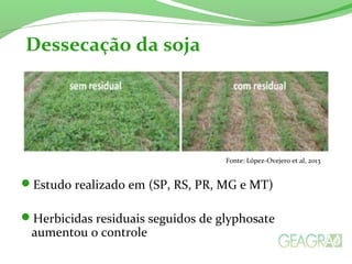 .
Estudo realizado em (SP, RS, PR, MG e MT)
Herbicidas residuais seguidos de glyphosate
aumentou o controle
Dessecação da soja
Fonte: López-Ovejero et al, 2013
 