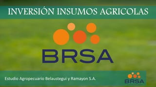 INVERSIÓN INSUMOS AGRICOLAS
Estudio Agropecuario Belaustegui y Ramayon S.A.
 