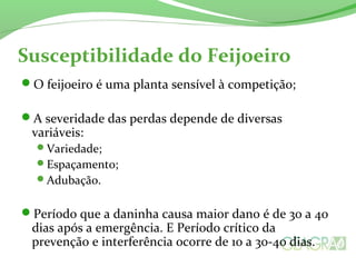 Susceptibilidade do Feijoeiro
O feijoeiro é uma planta sensível à competição;
A severidade das perdas depende de diversas
variáveis:
Variedade;
Espaçamento;
Adubação.
Período que a daninha causa maior dano é de 30 a 40
dias após a emergência. E Período crítico da
prevenção e interferência ocorre de 10 a 30-40 dias.
 