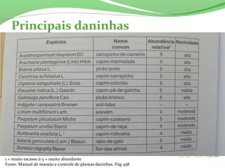 Principais daninhas
1 = muito escasso à 5 = muito abundante
Fonte: Manual de manejo e controle de plantas daninhas. Pág 458
 