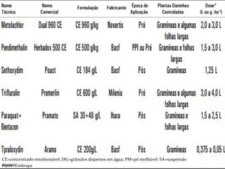 v
Fonte: Embrapa
CE=concentrado emulsionável; DG=grânulos dispersos em água; PM=pó molhável; SA=suspensão
aquosa.
 