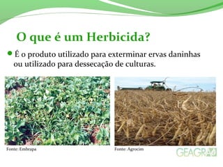 É o produto utilizado para exterminar ervas daninhas
ou utilizado para dessecação de culturas.
O que é um Herbicida?
Fonte: Embrapa Fonte: Agrocim
 