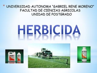 * UNIVERSIDAD AUTONOMA “GABRIEL RENE MORENO”
FACULTAD DE CIENCIAS AGRICOLAS
UNIDAD DE POSTGRADO
 