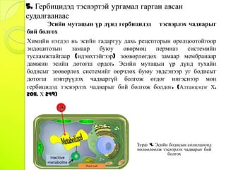 Herbicide | PPT