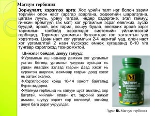Herbicide | PPT