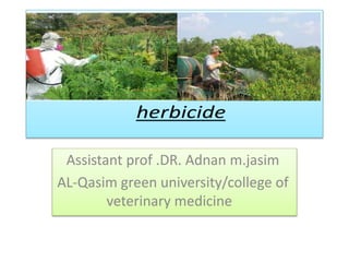 her
Assistant prof .DR. Adnan m.jasim
AL-Qasim green university/college of
veterinary medicine
 