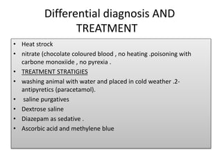 Differential diagnosis AND
TREATMENT
• Heat strock
• nitrate (chocolate coloured blood , no heating .poisoning with
carbone monoxiide , no pyrexia .
• TREATMENT STRATIGIES
• washing animal with water and placed in cold weather .2-
antipyretics (paracetamol).
• saline purgatives
• Dextrose saline
• Diazepam as sedative .
• Ascorbic acid and methylene blue
 