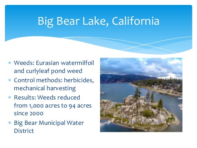 aquatic herbicides