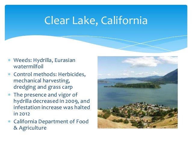 aquatic herbicides