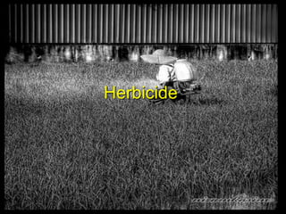 Herbicide
 