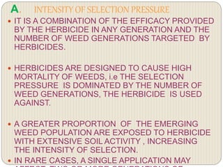 A. INTENSITY OF SELECTION PRESSURE
 IT IS A COMBINATION OF THE EFFICACY PROVIDED
BY THE HERBICIDE IN ANY GENERATION AND THE
NUMBER OF WEED GENERATIONS TARGETED BY
HERBICIDES.
 HERBICIDES ARE DESIGNED TO CAUSE HIGH
MORTALITY OF WEEDS, i.e THE SELECTION
PRESSURE IS DOMINATED BY THE NUMBER OF
WEED GENERATIONS, THE HERBICIDE IS USED
AGAINST.
 A GREATER PROPORTION OF THE EMERGING
WEED POPULATION ARE EXPOSED TO HERBICIDE
WITH EXTENSIVE SOIL ACTIVITY , INCREASING
THE INTENSITY OF SELECTION.
 IN RARE CASES, A SINGLE APPLICATION MAY
 
