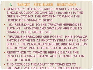 1. TARGET SITE- BASED RESISTANCE
 GENERALLY, THIS RESISTANCE RESULTS FROM A
SINGLE NUCLEOTIDE CHANGE ( a mutation ) IN THE
GENE ENCODING THE PROTEIN TO WHICH THE
HERBICIDE NORMALLY BINDS.
 EX-RESISTANCE TO THE TRIAZINE HERBICIDES,
SUCH AS ATRAZINE AND SIMAZINE ARE DUE TO
CHANGE IN THE TARGET SITE.
 TRIAZINE HERBICIDES ARE POTENT INHIBITORS OF
PHOTOSYNTHESIS AT PHOTOSYSTEM II (PS II ). THEY
BIND TO THE PLASTOQUINONE(QB) BINDING SITE ON
THE DI Protein AND INHIBITS ELECTRON FLOW.
 RESISTANCE TO TRIAZINE HERBICIDE ARE THE
RESULT OF A SINGLE AMINO ACID CHANGE WITHIN
THE DI PROTEIN.
 THIS REDUCES THE ABILITY OF TRIAZINES TO
INTERACT WITH PS II BY OVER THOUSAND FOLD
 