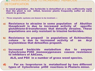 2. RESISTANCE DUE TO INCREASED HERBICIDE
DETOXIFICATION
 In weed population , the herbicide is detoxified at a rate sufficiently rapid
that the plant is not killed, however plants frequently suffer an early
check to growth.
 Three enzymatic systems are known to be involved-----
a) Resistance to atrazine in some population of Abutilon
theophrasti is due to increased activity of specific
glutathione-S-transferases that detoxify atrazine. These
populations are only resistant to triazine herbicides.
b) Resistance to propanil in populations of Echinochloa
colona is due to increased activity of an Aryl
acylamidase that detoxifies propanil.
c) Increased herbicide metabolism due to enzyme
Cytochrome P450 monooxygenases causes resistance
to inhibitors of AACase,
ALS, and PSII in a number of grass weed species.
d) For ex- Isoproturon is metabolised by two different
types of Cytochrome p450 reactions in Phalaris minor.
 