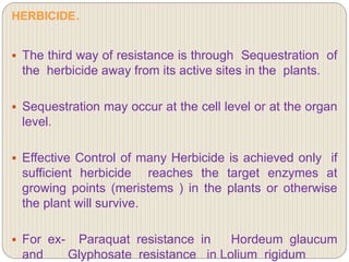 HERBICIDE.
 The third way of resistance is through Sequestration of
the herbicide away from its active sites in the plants.
 Sequestration may occur at the cell level or at the organ
level.
 Effective Control of many Herbicide is achieved only if
sufficient herbicide reaches the target enzymes at
growing points (meristems ) in the plants or otherwise
the plant will survive.
 For ex- Paraquat resistance in Hordeum glaucum
and Glyphosate resistance in Lolium rigidum
 