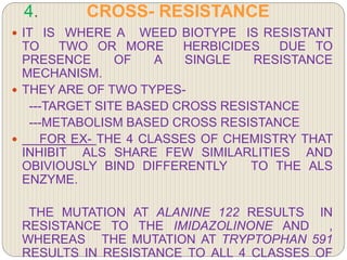 4. CROSS- RESISTANCE
 IT IS WHERE A WEED BIOTYPE IS RESISTANT
TO TWO OR MORE HERBICIDES DUE TO
PRESENCE OF A SINGLE RESISTANCE
MECHANISM.
 THEY ARE OF TWO TYPES-
---TARGET SITE BASED CROSS RESISTANCE
---METABOLISM BASED CROSS RESISTANCE
 FOR EX- THE 4 CLASSES OF CHEMISTRY THAT
INHIBIT ALS SHARE FEW SIMILARLITIES AND
OBIVIOUSLY BIND DIFFERENTLY TO THE ALS
ENZYME.
THE MUTATION AT ALANINE 122 RESULTS IN
RESISTANCE TO THE IMIDAZOLINONE AND ,
WHEREAS THE MUTATION AT TRYPTOPHAN 591
RESULTS IN RESISTANCE TO ALL 4 CLASSES OF
 