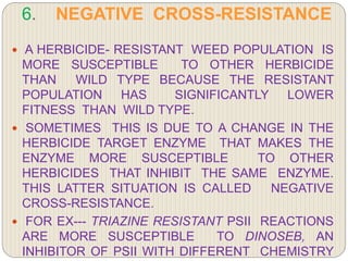 6. NEGATIVE CROSS-RESISTANCE
 A HERBICIDE- RESISTANT WEED POPULATION IS
MORE SUSCEPTIBLE TO OTHER HERBICIDE
THAN WILD TYPE BECAUSE THE RESISTANT
POPULATION HAS SIGNIFICANTLY LOWER
FITNESS THAN WILD TYPE.
 SOMETIMES THIS IS DUE TO A CHANGE IN THE
HERBICIDE TARGET ENZYME THAT MAKES THE
ENZYME MORE SUSCEPTIBLE TO OTHER
HERBICIDES THAT INHIBIT THE SAME ENZYME.
THIS LATTER SITUATION IS CALLED NEGATIVE
CROSS-RESISTANCE.
 FOR EX--- TRIAZINE RESISTANT PSII REACTIONS
ARE MORE SUSCEPTIBLE TO DINOSEB, AN
INHIBITOR OF PSII WITH DIFFERENT CHEMISTRY
 