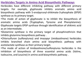 Herbicides Targets in Amino Acid Biosynthetic Pathways
Herbicides have different inhibiting pathway with different primary
targets. For example, glyphosate inhibits aromatic amino acid
biosynthesis pathway with 5-enolpyruvyl-shikimate-3-phosphate (EPSP)
synthase as its primary target.
•The mode of action of glyphosate is to inhibit the biosynthesis of
aromatic amino acids (Tryptophan, Tyrosine and Phenylalanine).
Glyphosate targets EPSP synthase through identification of shikimic acid
as an intermediate.
•Glutamine synthase is the primary target of phosphinothricin that
inhibits glutamine biosynthesis pathway .
•Chlorsulfuron (sulfonylurea) and imazapyr (imidazolinone) herbicides
inhibits branched chain amino acid biosynthesis pathway with
acetolactate synthase as their primary target.
•The mode of action of Imidazolinone/sulfonylurea herbicides is the
inhibition of biosynthesis of three essential amino acids (Valine,
Isoleucine, and Leucine) in amino acid biosynthetic pathway .
 