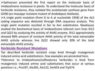 Sathasivan presented the first report on the molecular basis of
imidazolinone resistance in plants. To understand the molecular basis of
herbicide resistance, they isolated the acetolactate synthase gene from
GH90 (an imazapyr resistant mutant of Arabidopsis thaliana).
A single point mutation (from G to A at nucleotide 1958) of the ALS
coding sequence was detected through DNA sequence analysis. This
single point mutation resulted in Ser to Asn substitution. Newhouse
studied the biochemical basis of imidazolinone tolerant corn lines XI12
and QJ22 by analyzing the activity of AHAS enzyme. XI12 approximately
showed 80% amount of resistant AHAS activity of the total extractable
AHAS activity whereas line QJ22 showed only 20% of the total
extractable AHAS activity.
Herbicide Resistant Mutations
Tan described herbicide resistant crops bred through mutagenesis
induced amino acid substitutions. Few examples are presented here.
•Tolerance to imidazolinone/sulfonylurea herbicides is bred from
mutagenesis induced amino acid substitutions that occur at various
positions i.e., Pro197, Ala205, Ala122, Ser653 and Trp574.
 
