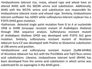 •Imidazolinone tolerant rice, maize, oilseed rape and wheat have an
altered AHAS with the S653N amino acid substitution. Additionally,
AHAS with the W574L amino acid substitution was responsible for
imidazolinone tolerant maize and oilseed rape. Similarly, imidazolinone
tolerant sunflower has A205V while sulfonylurea tolerant soybean has a
P197S AHAS gene mutation.
•Sathasivan detected single point mutation from G to A at nucleotide
1958 in GH90 (imazapyr resistant mutant of Arabidopsis thaliana)
through DNA sequence analysis. Sulfonylurea resistant mutant
of Arabidopsis thaliana GH50 was developed with P197S ALS gene
mutation. Similarly, sulfonylurea resistant mutant of Nicotiana
tabacum Sura-C3 was developed with Proline to Glutamine substitution
at 196 amino acid position.
•Imidazolinone and sulfonylurea resistant mutant (SuRB-S4HRA)
of Nicotiana tabacum has ALS with the Pro196Ala and Trp573Leu amino
acid substitutions. Likewise, imidazolinone tolerant lentil (RH44) has
been developed from the amino acid substitution in which serine was
substituted for an asparagine in the AHAS gene .
 