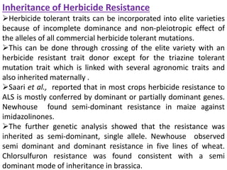 Inheritance of Herbicide Resistance
Herbicide tolerant traits can be incorporated into elite varieties
because of incomplete dominance and non-pleiotropic effect of
the alleles of all commercial herbicide tolerant mutations.
This can be done through crossing of the elite variety with an
herbicide resistant trait donor except for the triazine tolerant
mutation trait which is linked with several agronomic traits and
also inherited maternally .
Saari et al., reported that in most crops herbicide resistance to
ALS is mostly conferred by dominant or partially dominant genes.
Newhouse found semi-dominant resistance in maize against
imidazolinones.
The further genetic analysis showed that the resistance was
inherited as semi-dominant, single allele. Newhouse observed
semi dominant and dominant resistance in five lines of wheat.
Chlorsulfuron resistance was found consistent with a semi
dominant mode of inheritance in brassica.
 