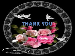 Herbicide resistance breeding 